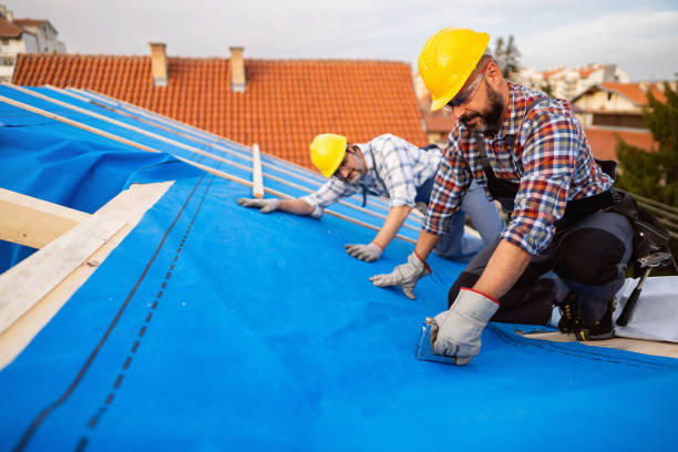 Best Local Roofing Companies  in Randolph, WI